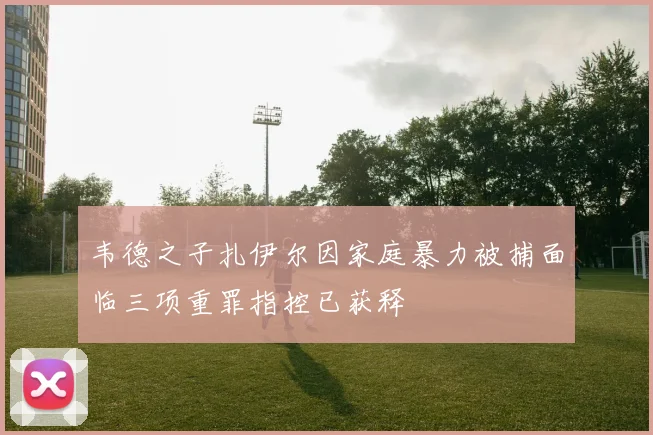 韦德之子扎伊尔因家庭暴力被捕面临三项重罪指控已获释